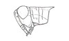 Dichroplus exilis Giglio-Tos, 1894: Fig. 37. male, head and pronotum, lateral view. (Otu).