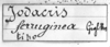 CollectionObject 1543627; e230c9c1-4b2d-47f1-a5d2-f1603bfe1ec6: Image Carbonell, C.S. label (lectotype). (CollectionObject).