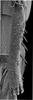 Other: !! display not done !! on Bonamus lineatus Oman, 1938: metatarsomere I, ventrolateral view. (Observation).