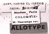 CollectionObject 1541672; 1fc73050-31c3-4cc6-a8d9-298c0c8506ba: Image Carbonell, C.S. labels (allotype). (CollectionObject).
