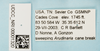 Other: !! display not done !! on Stenocranus (Codex) similis Crawford, 1914: (Observation).