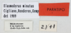 CollectionObject 1565551; 3a4c2da6-9cca-46db-90b9-3333ef8880c6, MLP4240/2-18': labels (paratype). (CollectionObject).
