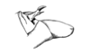 Chlorus vittatus Bruner, 1906: Fig. 4W. male abdomen tip, lateral view. (Otu).