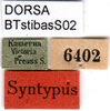 CollectionObject 1502645; 349d42c0-d7fb-4d79-9692-612153714915: labels (syntype). (CollectionObject).