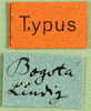 CollectionObject 1502139; 25ad38c4-5e58-4100-a4b3-28787ac41f7c: labels (paralectotype of Agriacris picticollis). (CollectionObject).