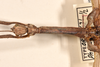 CollectionObject 1561085; a4e2c403-bfd2-4dee-93b9-b969e64160dc: copyright OUMNH. male: head and thorax, dorsal view (lectotype). (CollectionObject).