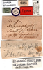 CollectionObject 1500640; 8569f306-b1e4-4148-a76a-1efe8f8ac301, DORSA BTstedilS01: labels (lectotype). (CollectionObject).