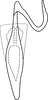 Aedeagus, ventral view on Asymmetrasca reflexilis Liu & Zhang, 2014: Aedeagus, ventral view. (Observation).