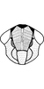 Head: Face. (Observation).