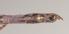 CollectionObject 1559006; NHMUK(SF IMPORT DUPLICATE) 845238, cb4f115d-0146-42f4-a5ad-e2e1320941bd: copyright Natural History Museum, London. male: end of abdomen, ventral view (syntype). (CollectionObject).