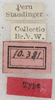 CollectionObject 1533038; NMW 15.460', 1e7dca16-5ead-4a8e-b7d2-95952751d224: labels (syntype). (CollectionObject).