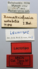 CollectionObject 1535514; a24fcbf7-8c74-4401-9baf-4a1991cda301: labels (lectotype). (CollectionObject).