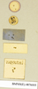 CollectionObject 1552817; NHMUK(SF IMPORT DUPLICATE) BMNH(E) 876005, a82d0883-b8ef-4e5e-8c8c-82b4ea3c65ef: Copyright Natural History Museum, London. Labels from lectotype (adult male) in BM(NH). Underside. (CollectionObject).