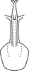 Aedeagus, ventral view on Erythridula similalis (Ross & DeLong, 1953): Aedeagus (holotype), ventral view. (Observation).