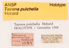 CollectionObject 1523744; 3fac1c77-325b-4392-b4ee-76d2554f09a3: labels (holotype). (CollectionObject).