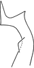 Stylus on Erythridula parsonsi (Hepner, 1976): Stylus (holotype). (Observation).