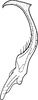 Stylus: !! display not done !! on Eupteryx (Eupteryx) atropunctata (Goeze, 1778): Stylus. (Observation).
