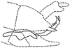 Pygofer, lateral view: !! display not done !! on Bandara (Bandara) parallela Knull, 1946: genital capsule, laterally. (Observation).