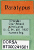 CollectionObject 1564692; eb3ee12a-3bb2-4c0a-99ca-da5af6b35dc9: labels (syntype). (CollectionObject).