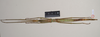 CollectionObject 1563705; NHMUK(SF IMPORT DUPLICATE) BMNH#845349, 383cc2a5-0e45-4be8-8134-ff451259e2ee: copyright Natural History Museum, London. female (holotype). (CollectionObject).