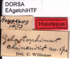 CollectionObject 1537585; 1c2ace1d-8a46-43bf-8c0d-8a151cc9f47f: labels (holotype). (CollectionObject).