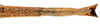 CollectionObject 1584179; 695919a3-543d-48b9-9a84-bb824e664a00: copyright RBINS, Brussels. female: end of abdomen, ventral view (paratype). (CollectionObject).;CollectionObject 1584180; 9e65ce56-1acf-40c4-a1f9-1f7bfda31f1a: copyright RBINS, Brussels. female: end of abdomen, ventral view (paratype). (CollectionObject).
