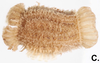 CollectionObject 1583635; adfb68e1-a3d2-4bd5-a22b-65a6b60a0b9f: copyright Royce Cumming. egg (paratype). (CollectionObject).;CollectionObject 1583636; 3aa186be-28ab-41ca-9be7-d2e15d021f2a: copyright Royce Cumming. egg (paratype). (CollectionObject).;CollectionObject 1583637; bec51a31-3de1-4206-aa78-0e9c91b9a281: copyright Royce Cumming. egg (paratype). (CollectionObject).