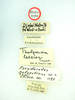 labels (holotype). Depicts CollectionObject 1519515; 1705bea8-bc1a-49a8-a8c6-f2e8047938b6, a CollectionObject.