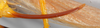 CollectionObject 1567527; 9803e4c0-f244-427b-9ea6-18b4e8c352db: ovipositor. (CollectionObject).