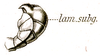 Pseudomnesicles roseosignatus (Brunner von Wattenwyl, 1898): Pl. XVIII, Fig. 32e. male abdomen tip, lateral view. (Otu).