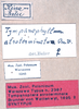 CollectionObject 1534586; 2892368b-cd27-40f1-9f89-7840d96ed5df: labels (syntype). (CollectionObject).