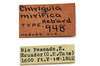 CollectionObject 1523096; 1c90d840-9f4f-4f24-bb3f-0eac3d5fe365: labels (holotype). (CollectionObject).
