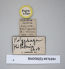 CollectionObject 1553287; NHMUK(SF IMPORT DUPLICATE) BMNH(E) 876184, e396ee1b-e2ce-4f1d-9456-30eb39b5a77e: Copyright NHM, London. Paratype male of synonym Polyphaga thibetana, data labels. (CollectionObject).