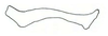 Stylus on Carapona villaria (DeLong & Foster, 1982) now Carapona munia (DeLong & Freytag, 1975): Male holotype [C. villaria]: style, lateral view. (Observation).