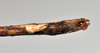 CollectionObject 1561182; ca722f59-5ae0-4d4f-8225-88a048e4085c: copyright NTUC. male: end of abdomen, ventral view (syntype). (CollectionObject).;CollectionObject 1561183; 82a3663e-d3c8-40f6-994b-015a810d7a76: copyright NTUC. male: end of abdomen, ventral view (syntype). (CollectionObject).