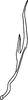 Aedeagus, lateral view: Aedeagus (G. nigroscuta Mahmood), lateral view. (Observation).