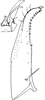 Subgenital plate, ventral view on Shamala (Shamala) mikra Dworakowska, 1980: Subgenital plate, stylus and connective. (Observation).