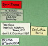 CollectionObject 1595975; 9ea397a9-0446-480e-86b8-4927c231a683, DORSA BTtesholS04: labels (paralectotype). (CollectionObject).