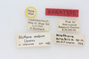 CollectionObject 1580961; 29dead8b-e8c0-4917-869f-8f70edd43d7f: female, labels (paratype). (CollectionObject).