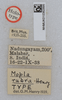 CollectionObject 1518905; e643ba68-388b-4d7f-bcd4-225099e14ab5: labels (holotype). (CollectionObject).