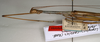 CollectionObject 1559567; NMW 1075, d835c82b-101c-4146-9101-5a5a572cfd50: copyright NMW, Vienna. male: head and thorax, lateral view of synonym Candaules caesius (holotype). (CollectionObject).