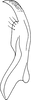 Stylus: !! display not done !! on Bambusana bambusae (Matsumura, 1914): Stylus. (Observation).