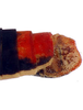 Pygofer, lateral view: Caudal abdomen, lateral view. U.S.A., New Mexico, Mayhill, TAMU. (Observation).