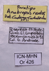 CollectionObject 1581155; 30f9cf53-5069-430f-8639-f52b6ddc6c9f: labels (paratype). (CollectionObject).