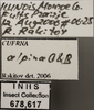 Other on Cuerna alpina Oman & Beamer, 1944: Labels. (Observation).