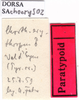 CollectionObject 1530810; 09f79619-0363-4423-aab3-0052df268b27: labels (syntype or paratype). (CollectionObject).