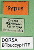 CollectionObject 1500453; 33f82358-5379-4d47-ba86-0fc4ed2bf0ac: labels (holotype). (CollectionObject).