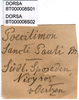 CollectionObject 1501981; 8c007038-b6d7-42a4-b5a1-563849f6d2a4: labels. (CollectionObject).