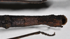CollectionObject 1559518; NHMUK(SF IMPORT DUPLICATE) BMNH(E)845356, 0dc0db9c-24e0-46c7-9c2e-e9e72463fec1: copyright Natural History Museum, London. female: end of abdomen, dorsal view (holotype), copyright Natural History Museum, London. (CollectionObject).