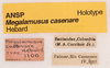 CollectionObject 1523722; 2070dbd4-79ef-4216-949f-950aa3d5a5ab: labels (holotype). (CollectionObject).